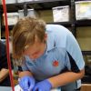 Cannulation  