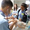 Coomealla neonatal