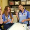 BSL activity